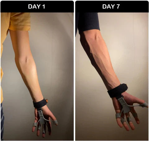 Gripster Hand Grip Strengthener