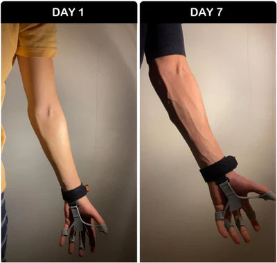 Gripster Hand Grip Strengthener